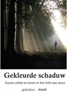 Gekleurde schaduw - Boek Jessah Groenink (9463675582)