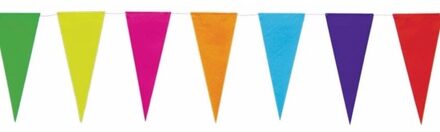 Gekleurde vlaggenlijn van papier 10 mtr