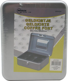 Geldkist - metaal - 20 x 16 x 9 cm - geldlade - cilinderslot