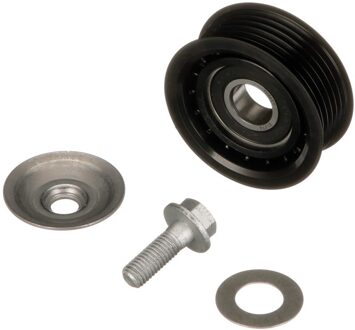 Geleide rol/omdraairol v-snaren DriveAlign® T36079