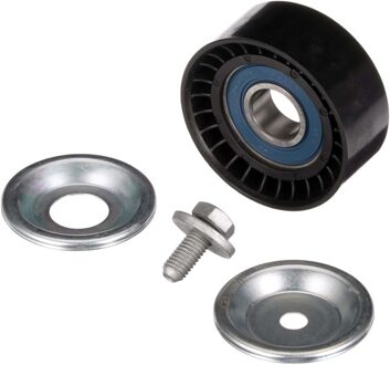 Geleide rol/omdraairol v-snaren DriveAlign® T36413