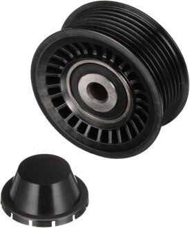 Geleide rol/omdraairol v-snaren DriveAlign® T36763