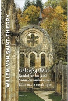 Geloofsgeheim - Middeleeuwse Monastieke Teksten - (ISBN:9789463402125)