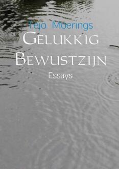 Gelukkig bewustzijn - Boek Tejo Moerings (9463679421)