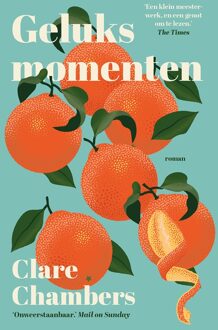 Geluksmomenten - Clare Chambers - ebook