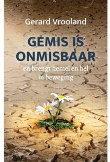 Gemis Is Onmisbaar - Gerard Vrooland