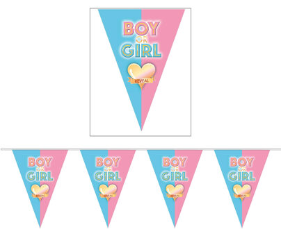 Gender reveal babyshower thema vlaggetjes slinger/vlaggenlijn van 5 meter - Vlaggenlijnen Multikleur