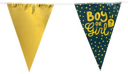 Gender Reveal Vlaggenlijn 'Boy or Girl' Goud/Groen (6m) Multikleur - Print
