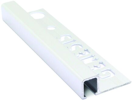 Genesis Plat Profiel - Staal Verzinkt - 12x1mm 2,5m