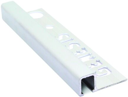 Genesis Tegelstrip tdg124.81 recht contour mat zilver 12mm