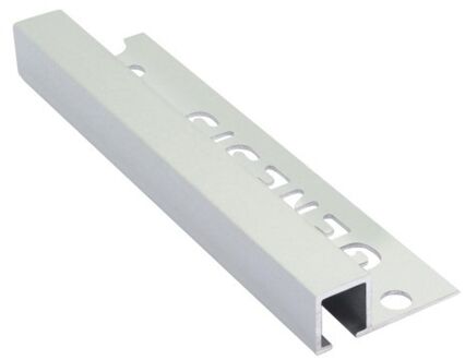 Genesis Tegelstrip tdp100.81 aluminium recht mat zilver 10mm