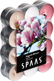 Geparfumeerde Waxinelichtjes - Magnolia Blossom - 24 Stuks