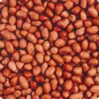 Gepelde pinda's 4 x 2,5 kg