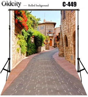 Geplaveide Weg Graniet Verharde Sett Street Europese Architectuur Foto Achtergrond Bruiloft Verjaardag Liefde Fotografie Achtergrond Lavendel