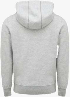 GEPRIKTE PULLOVER Heren Sweatshirt Grijs - maat 2XL