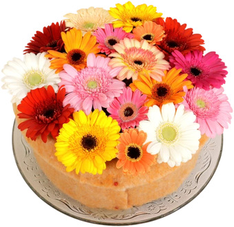 Gerbera bloementaart