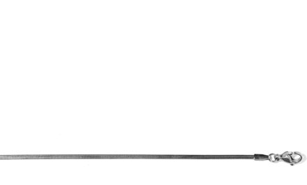 gerhodineerde halsketting - Grak Zilver - One Size