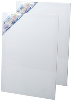 Gerimport 2x stuks canvas schildersdoeken 60 x 40 cm voor hobby verven/schilderen - Schildersdoeken Wit