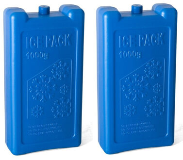 Gerimport 2x stuks koelelementen 1 liter 12 x 22 cm blauw