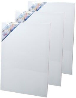 Gerimport 3x stuks canvas schildersdoeken 60 x 40 cm voor hobby verven/schilderen