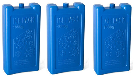 Gerimport 4x stuks koelelementen 1 liter 12 x 22 cm blauw