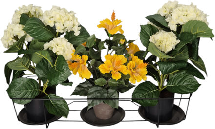 Gerimport Balkon bloempothouder voor 3 plantjes - bloembak met ophanging - zwart metaal - 66 x 28 x 21 cm