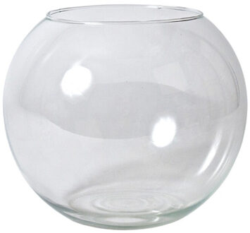 Gerimport Bol vaas/terrarium - D25 x H21 cm - glas - transparant