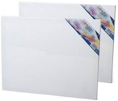 Gerimport Canvas schildersdoek - 2x - 50 x 40 cm - rechthoekig - doek