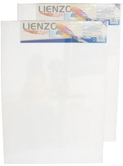 Gerimport Canvas schildersdoek - 2x stuks - 70 x 50 cm - rechthoek - hobby verven/schilderen - DIY schilderije