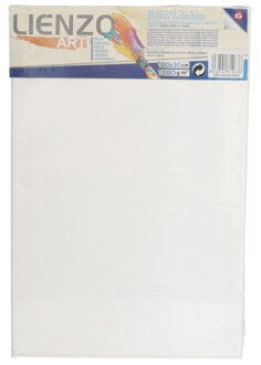 Gerimport Canvas schildersdoek 30 x 20 cm rechthoekig - hobby verven/schilderen Wit