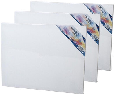 Gerimport Canvas schildersdoek - 3x - 50 x 40 cm - rechthoekig - doek