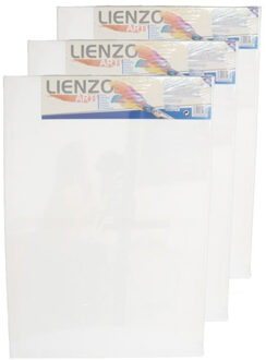 Gerimport Canvas schildersdoek - 4x stuks - 70 x 50 cm - rechthoek - hobby verven/schilderen - DIY schilderije