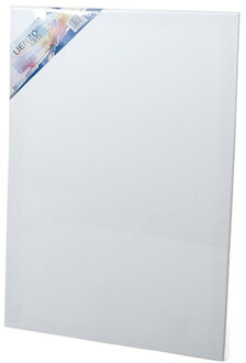 Gerimport Canvas schildersdoek 60 x 40 cm voor hobby verven/schilderen - Schildersdoeken Wit