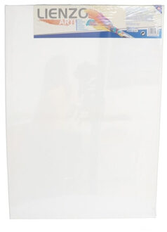 Gerimport Canvas schildersdoek - 70 x 50 cm - rechthoek - hobby verven/schilderen - DIY schilderijen maken