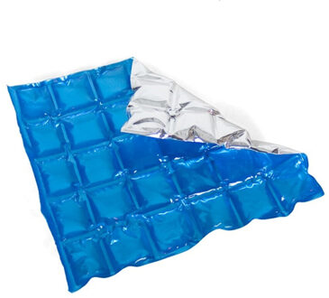 Gerimport Herbruikbare flexibele koelelementen - icepack/ijsklontjes - 28 x 25 cm - blauw