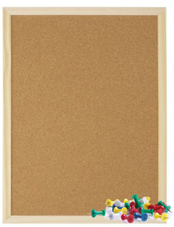 Gerimport Kantoor Prikbord - 40 x 30 cm - inclusief 25x punt punaises - memobord - keuken