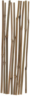 Gerimport Plantenstokken - 10x stuks - 30 cm - plantensteun / tonkinstokken