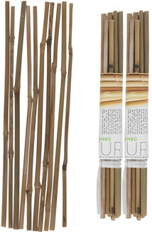 Gerimport Plantenstokken - 20x stuks - 30 cm - plantensteun / tonkinstokken