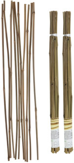Gerimport Plantenstokken - 20x stuks - 60 cm - plantensteun / tonkinstokken