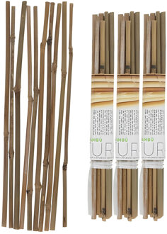 Gerimport Plantenstokken - 30x stuks - 30 cm - plantensteun / tonkinstokken