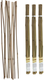 Gerimport Plantenstokken - 30x stuks - 60 cm - plantensteun / tonkinstokken