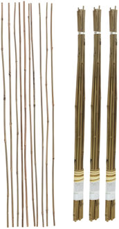 Gerimport Plantenstokken - 30x stuks - 90 cm - plantensteun / tonkinstokken
