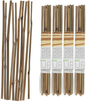 Gerimport Plantenstokken - 40x stuks - 30 cm - plantensteun / tonkinstokken