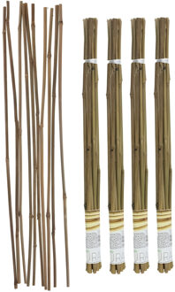 Gerimport Plantenstokken - 40x stuks - 60 cm - plantensteun / tonkinstokken