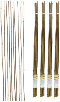 Gerimport Plantenstokken - 40x stuks - 90 cm - plantensteun / tonkinstokken