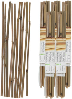 Gerimport Plantenstokken - 50x stuks - 30 cm - plantensteun / tonkinstokken