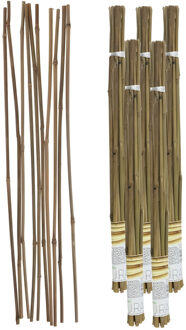 Gerimport Plantenstokken - 50x stuks - 60 cm - plantensteun / tonkinstokken
