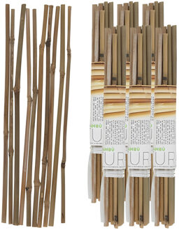 Gerimport Plantenstokken - 60x stuks - 30 cm - plantensteun / tonkinstokken