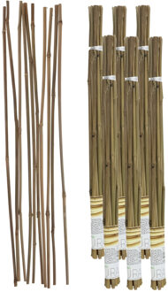 Gerimport Plantenstokken - 60x stuks - 60 cm - plantensteun / tonkinstokken