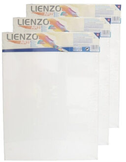 Gerimport Schilderdoek - 6x stuks - 40 x 30 cm - blanco canvas - rechthoekig - houten frame